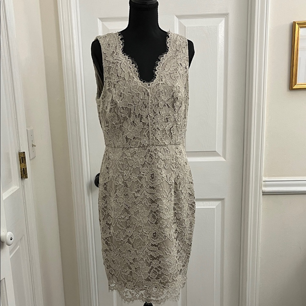 Adrianna Papell Beige Lace Mini Dress